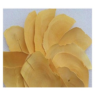 东革阿里片(其他)