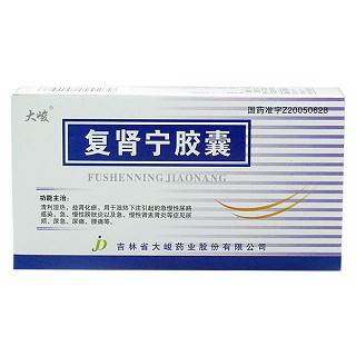 复肾宁胶囊(大峻)