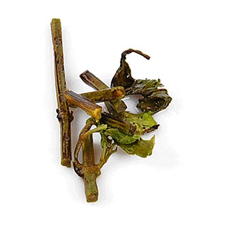 保健茶 西双版纳 猫须草 守一轩 肾茶(向辉)