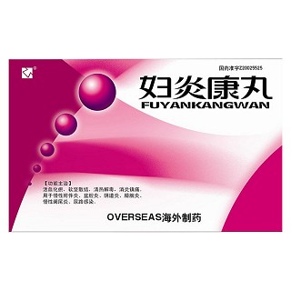 妇炎康丸(海外)