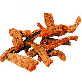 青海野生锁阳(其他)