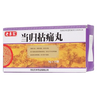 当归拈痛丸(9g*10袋/盒)