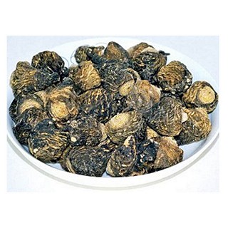 云南丽江黑玛卡 玛卡果(大陆)