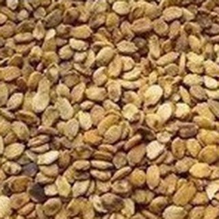 苦瓜籽(苦瓜籽)