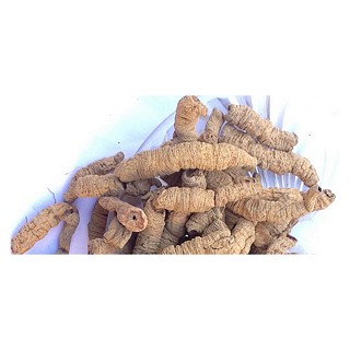 精品中药饮片 巴戟天 巴戟肉(鉴政)