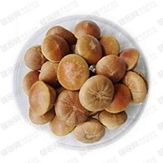 补肾壮阳 壮阳果(郝家园中)