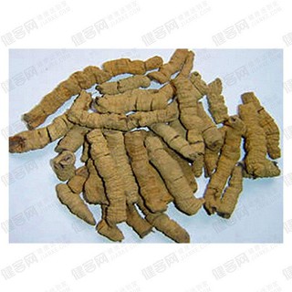 巴戟天(鑫国源)