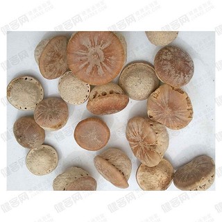 风流果 壮阳果枝干果补肾果(大陆)