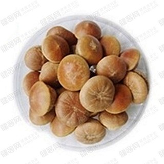 风流果 壮阳果(张敏中)