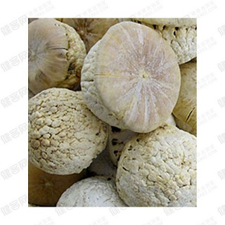 芳苑 壮阳果  壮阳保健品(芳香苑)