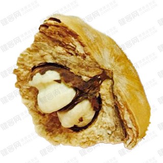 补肾果 补肾佳品(大陆)