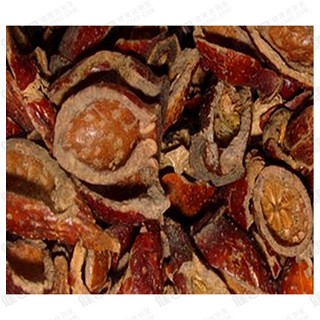 金樱子壮阳补肾(大陆)