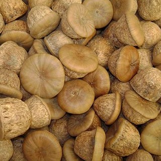 补肾果(明英龙洁)