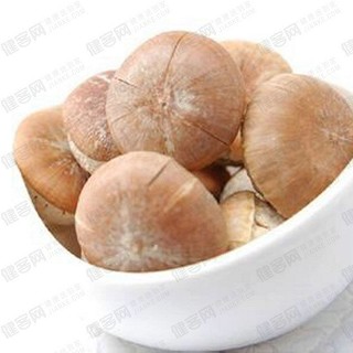 壮阳果(华谯)