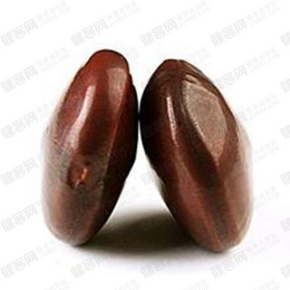 九龙藤子(意隆)