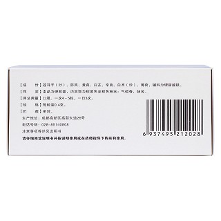 通窍鼻炎胶囊(川大华西)