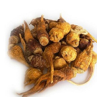 秘鲁玛咖(丰湖)