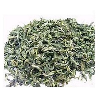 野生优质大花罗布麻茶(罗布麻)