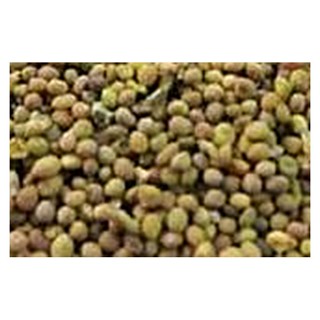 问心堂中药材饮片菟丝子(问心堂)