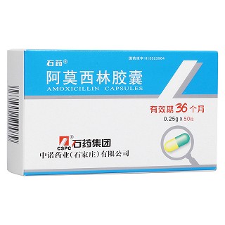 阿莫西林胶囊(石药)