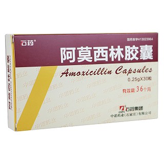 阿莫西林胶囊(石药)