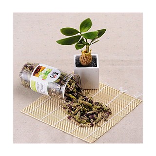 龙门工社 秋葵花茶(龙门县绿天源生态)