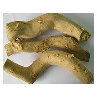 倍健 野生东革阿里原根(倍健茶叶)