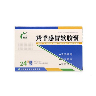 羚羊感冒软胶囊(黄河)