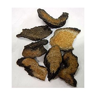 肉苁蓉片 大芸（软）(德森)