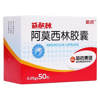 阿莫西林胶囊(哈药)