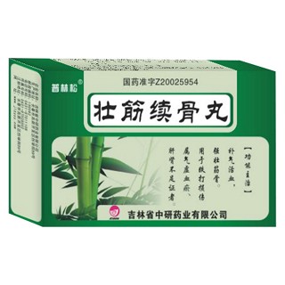 壮筋续骨丸(普林松)