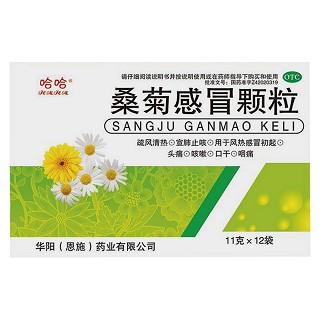 桑菊感冒颗粒(华阳)