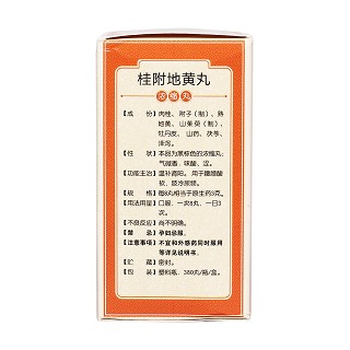 桂附地黄丸(汉源)