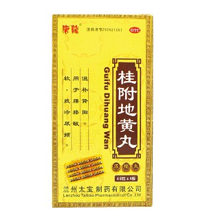 桂附地黄丸(唐龙)