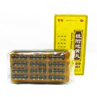 桂附地黄丸(唐龙)