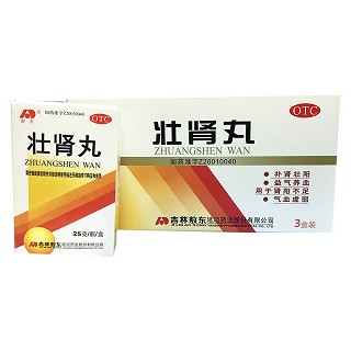 壮肾丸(敖东延边)