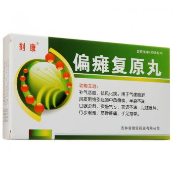 偏瘫复原丸(刻康)