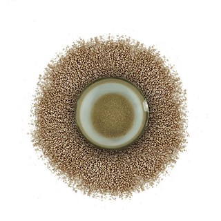 中智草晶华茯苓破壁草本(2g*20袋)