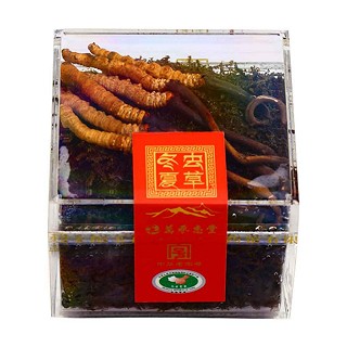 万承志堂西藏那曲新鲜虫草(万承志堂)