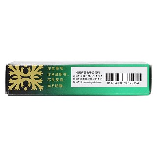 正柴胡饮颗粒(10g*6袋)