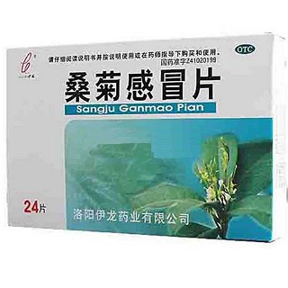 桑菊感冒片(24s)