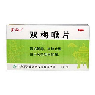 双梅喉片(罗浮山)