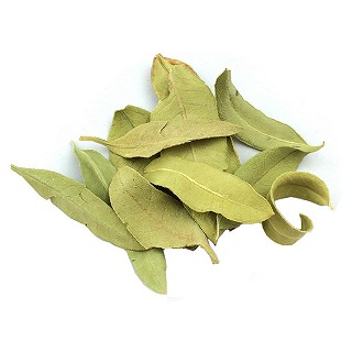 罗布麻叶(统)