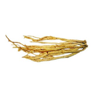 党参(中条)