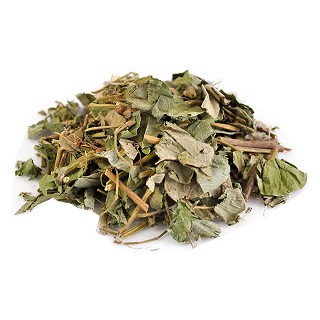 广金钱草(统段)