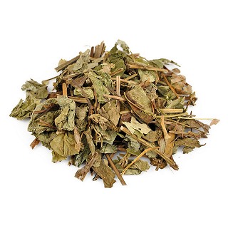 鱼腥草(统段)