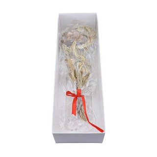 天山雪莲(礼盒)