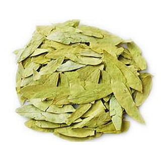番泻叶(统)
