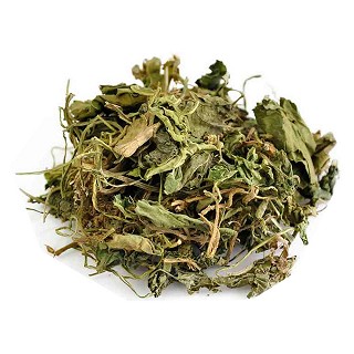 紫花地丁(统段)