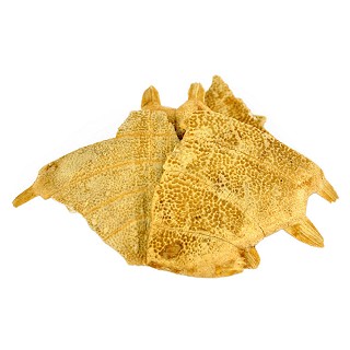 醋鳖甲(统块)